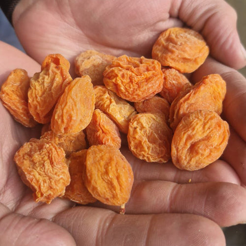 Kashmiri Apricots